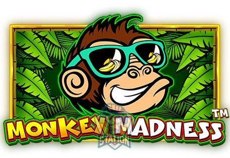 รีวิวเกมสล็อต PP : Monkey Madness สล็อตลิงจ๋อ